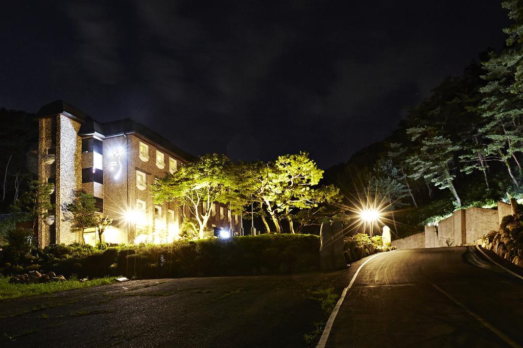 Hotel Namoo Cheong-ju Cheongju Zimmer foto